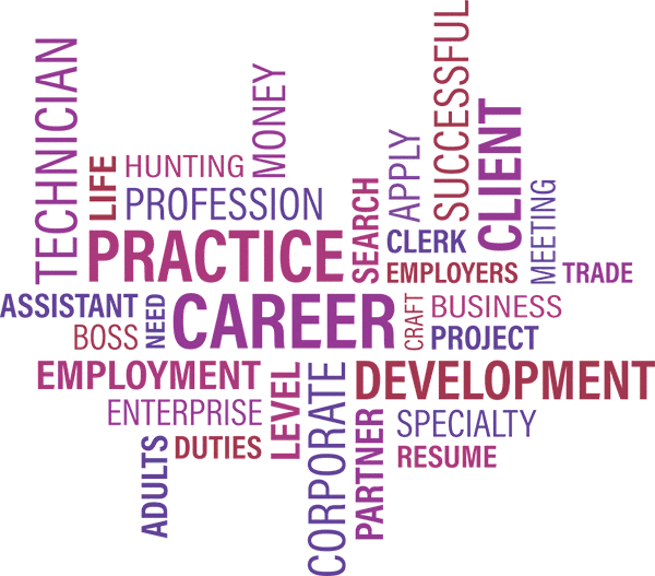 View Professional Services